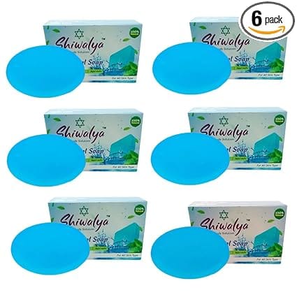 SHIWALYA Natural Cool Mint Soap || Handmade Bathing Soap || Herbal Soft & Radiant Skin || Suitable for All Skin Types (Pack of 6)