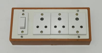 6A 3 Sockets (3 Pin Socket) & 1 Switch Extension Box with 6A Plug & 3m Wire