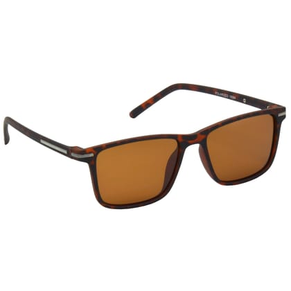 Hrinkar Brown Retro Square Sunglasses Styles Brown Frame Polarized Glasses for Men & Women - HRS511-TBWN-BWN