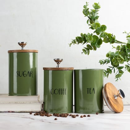 Cache Kitchen Canister Jars Olive - Set of 3