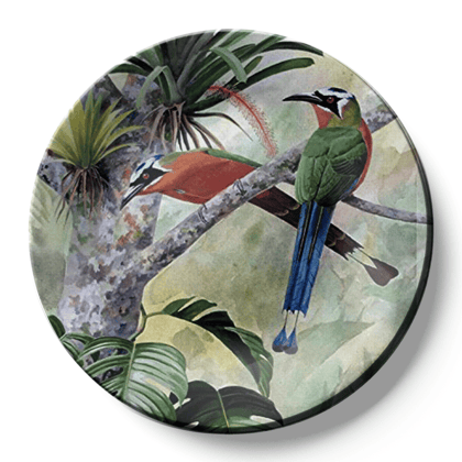 Tropical Birds Ceramic Wall Plate Home Décor