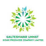  Galteshwar Unnat Kisan Producer Company Limited