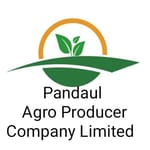 Pandaul Agro Producer Company Limited 