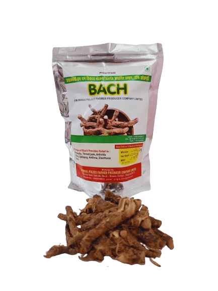 Bach (Vacha)