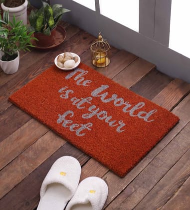 SWHF Natural Coconut Fiber Printed Doormat Mats for Front Door, Entryway Doormat with Thickened Non-Slip PVC Backing for Outdoor and Indoor Use, 14 x 24 Inch Coir Layered Door Mats for Front Porch