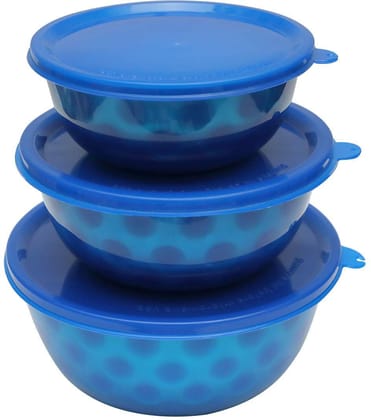 SWHF Food Grade Stainless Steel Mixing and Serving Bowls for Dining Table/Kitchen Great for Cooking Serving Salads, Snack, Fruits Bowl Set, Microwave Safe,Dishwasher Safe, Bpa Free, Set of 3, (Blue, 500 ml,850 ml, 1200 ml)