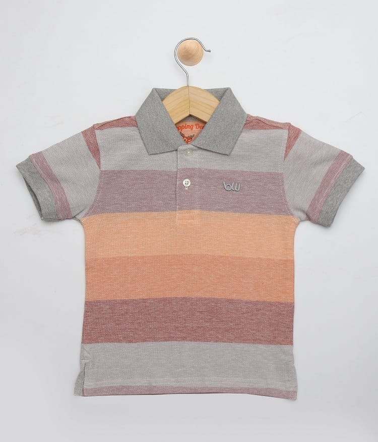 Boys Multi Color Polo T-Shirt