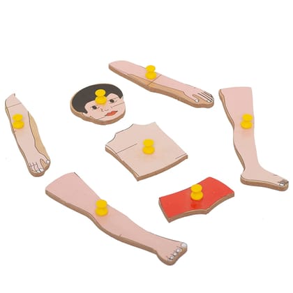 Body Parts Puzzle Kids Wooden Toys for Kids 3+ Jigsaw Puzzles for Adults Baby Learning Toys Educational Toys for 2 Board Game