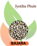 Jyotiba Phule Agro Farmer Producer Company Limited