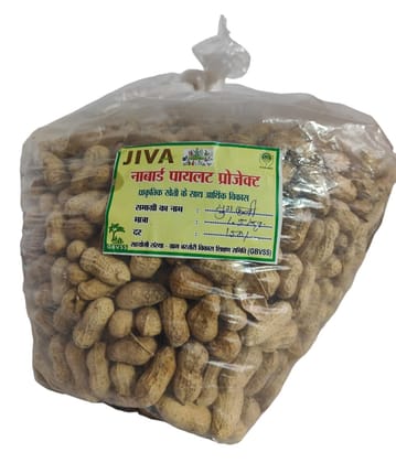 Whole Groundnut/Sabut Mufali/Raw Peanut/Mungfali Fresh Peanut with shell