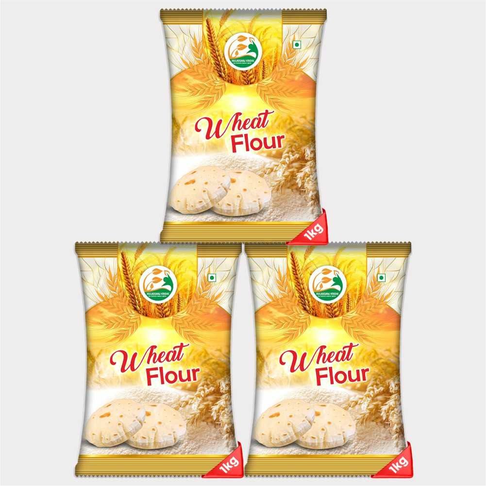 Wheat Flour (Pack of 3)