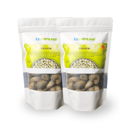 Ez Farmland Natural Raw Cashew Nut in Shell 400 g Dried Cashew /Natural Crops