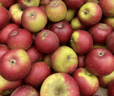 Apple (Minimum Order 05 Kg)