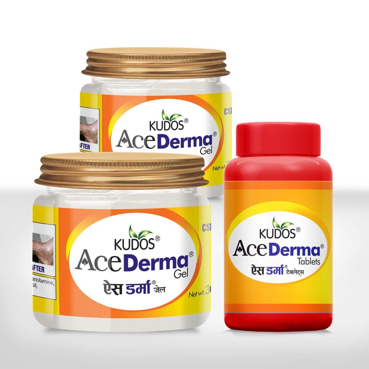 kudos ayurveda ACE DERMA KIT