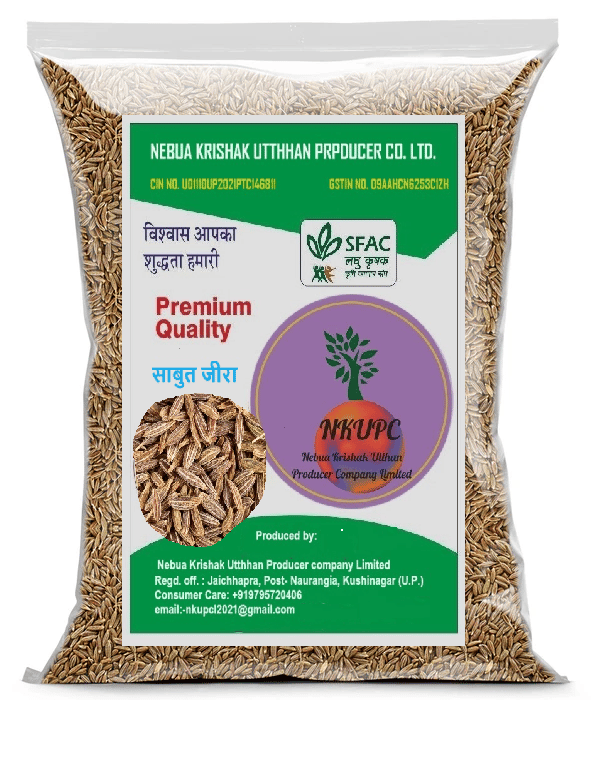 Cumin Whole | Jeera | Shahi Jeera | Premium Jeera | Sabut Jeera (500gm)