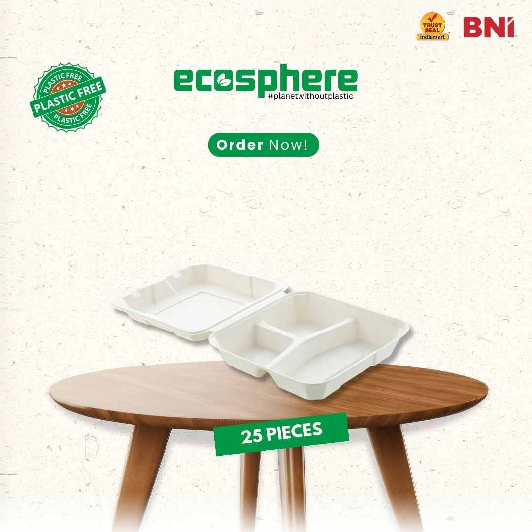 25 Pieces Biodegradable 3 Compartment Rectangular Clamshell Takeaway Container - Natural Disposable-9 x 9 Inch / 25