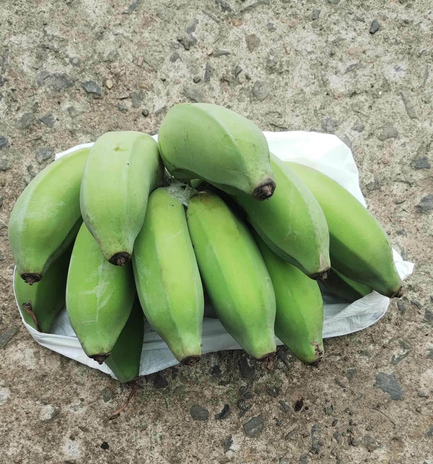 Green Banana/12 piece per pack @Rs.60 only.