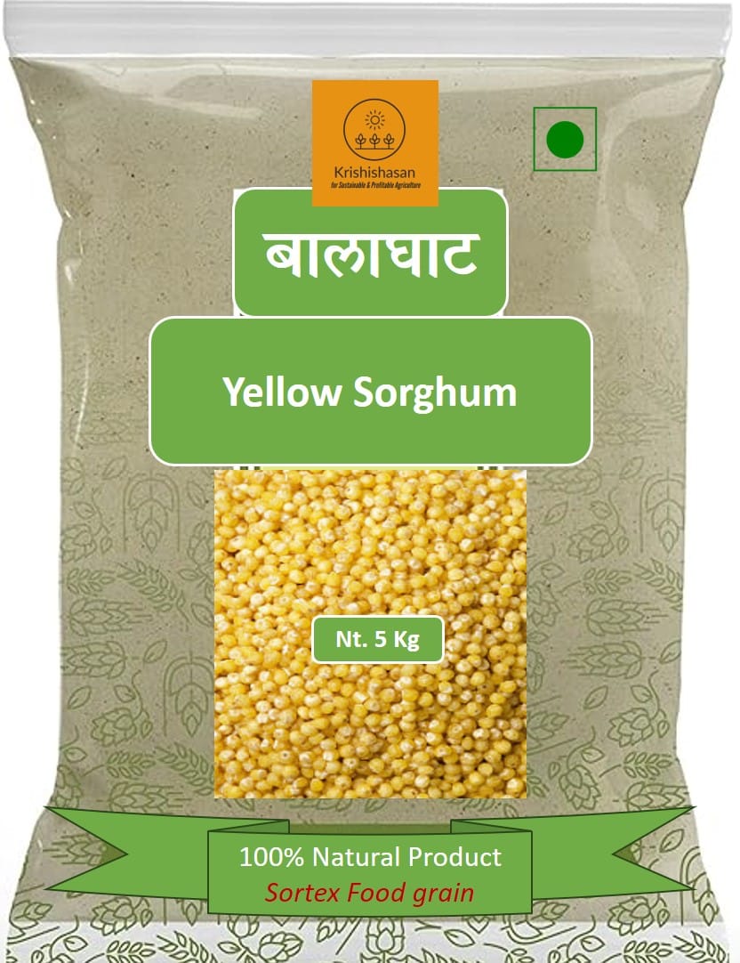 Yellow Sorghum