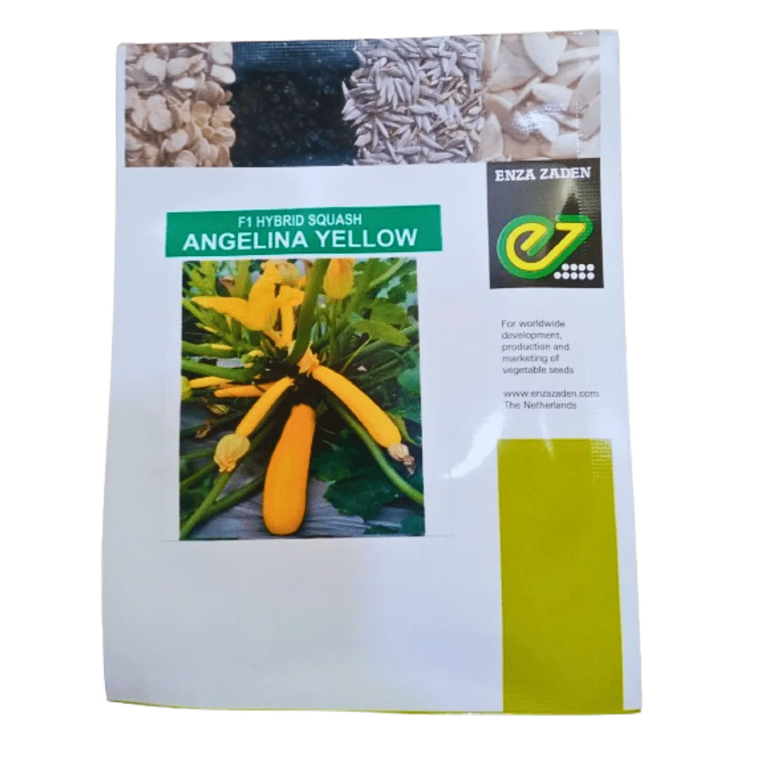 Angelina Yellow Squash Seeds