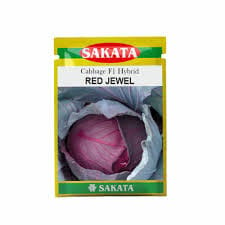 Red Jewel Cabbage Hybrid Seeds