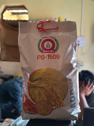 Paddy Seed  (Variety-1509)