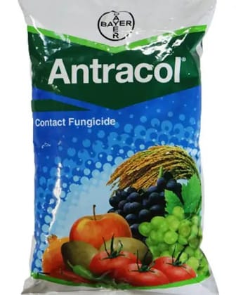 Antracol (Propineb 70% WP) 250G