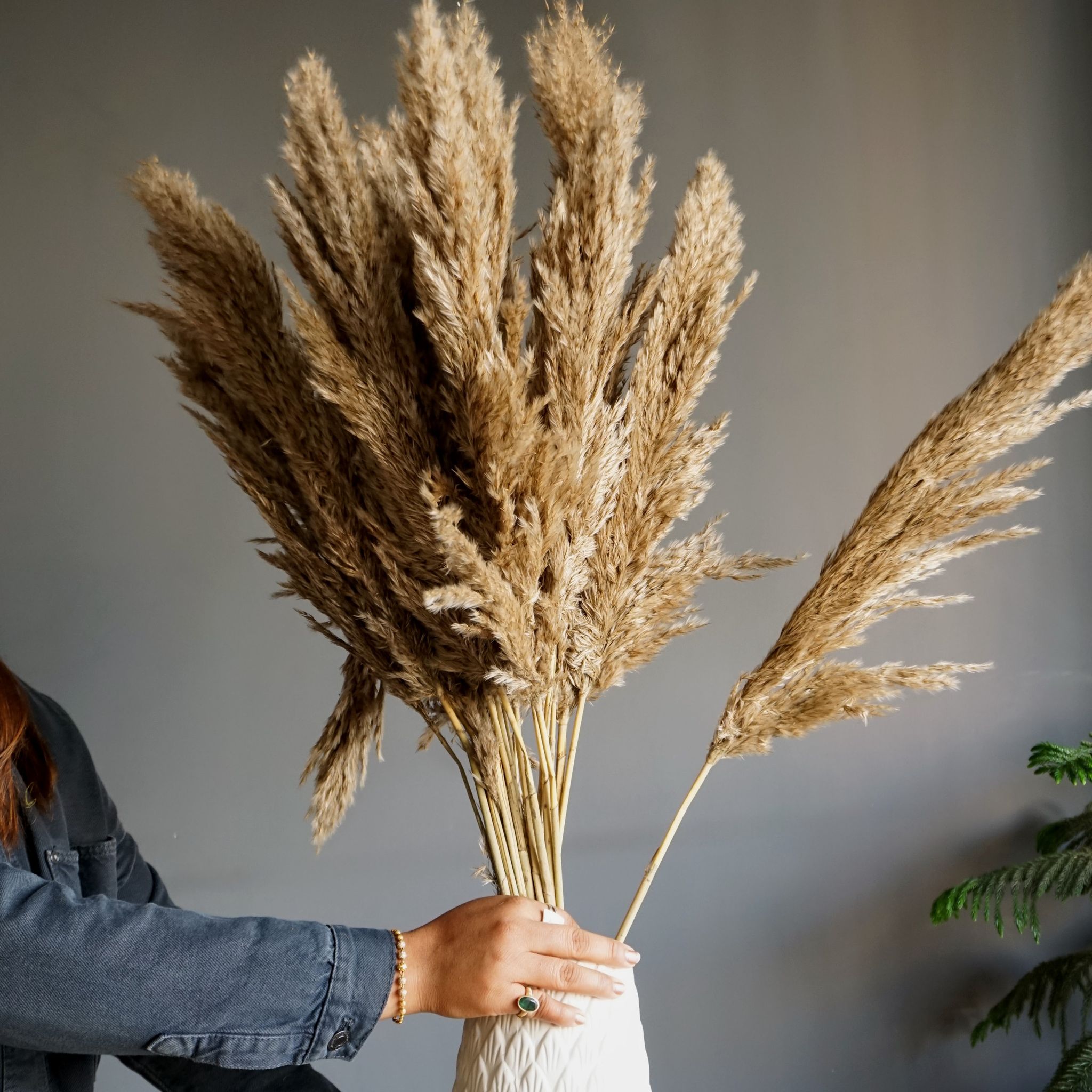 Dried Natural Pampas Grass Bunch (20 Strands)