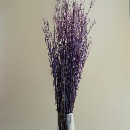 Purple Mustard Stems (Bunch of 25)