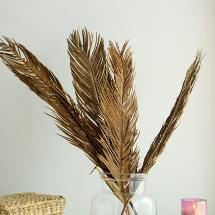 Dried Date Palm Leaves - Set of Four