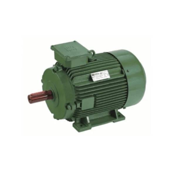 Hindustan 0.25HP 0.18KW 2 POLE 3000 RPM B3 FOOT 415VV 50HZ Frame.63 IE2