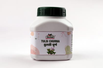 Chhattisgarh Herbals TULSI CHURN 150 GM