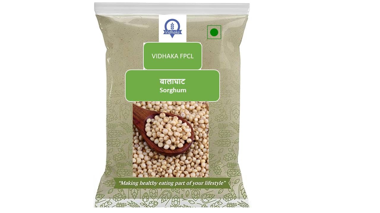 Balaghat Sorghum