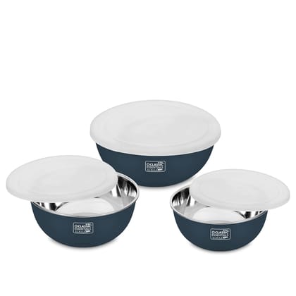 Classic Essentials Stainless Steel Microwave Safe Food Storage Container | Bowl with Plastic Lid, Capacity: (500ml+750ml+1250ml), Set of 3