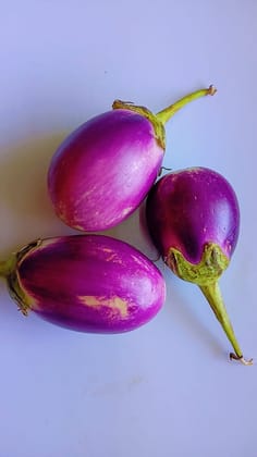 Brinjal