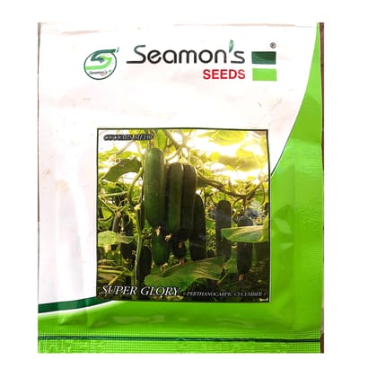 CUCUMBER SEED- SEAMONS