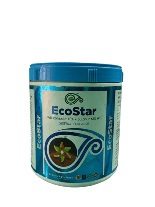 EcoStar