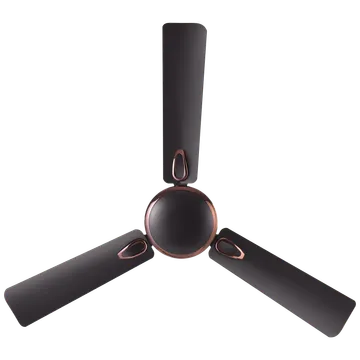 Croma Semi Deco 120cm Sweep 3 Blade Ceiling Fan (400 RPM, Dark Coffee)