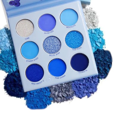 S.F.R. COLOR Blueberry pressed pigment eye shadow palette| matte and shimmer eye shadow palette| nude color eye shadow palette| eye makeup palette|