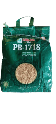 PB 1718 PADDY SEEDS