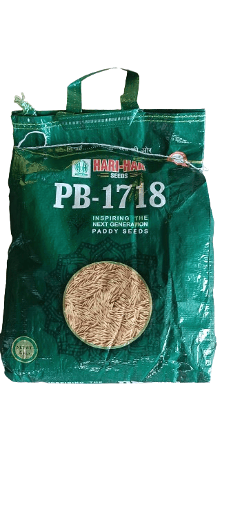 PB 1718 PADDY SEEDS