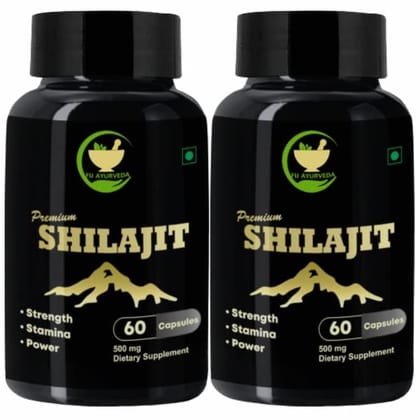 FIJ AYURVEDA Premium Shilajit/Shilajeet Extract Capsule Supports Strength & Stamina - 500mg 60 Capsules (Pack of 2)