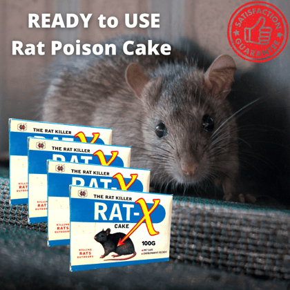 Most Powerfull Rat Killer Cake | Keep Away All Rats & Rodents From Your Home & Godown | 100GMx5