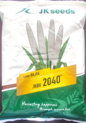 Hybrid Bajra JKBH 2024 Seeds