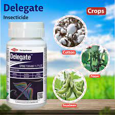 Delegate Insecticide