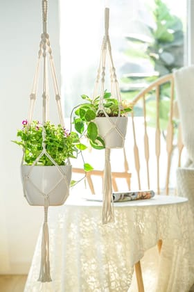 Twisted Macrame Plant Hanger (Set of 2)