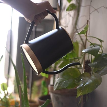 Ecofynd Black Watering Can 1.5 Litre