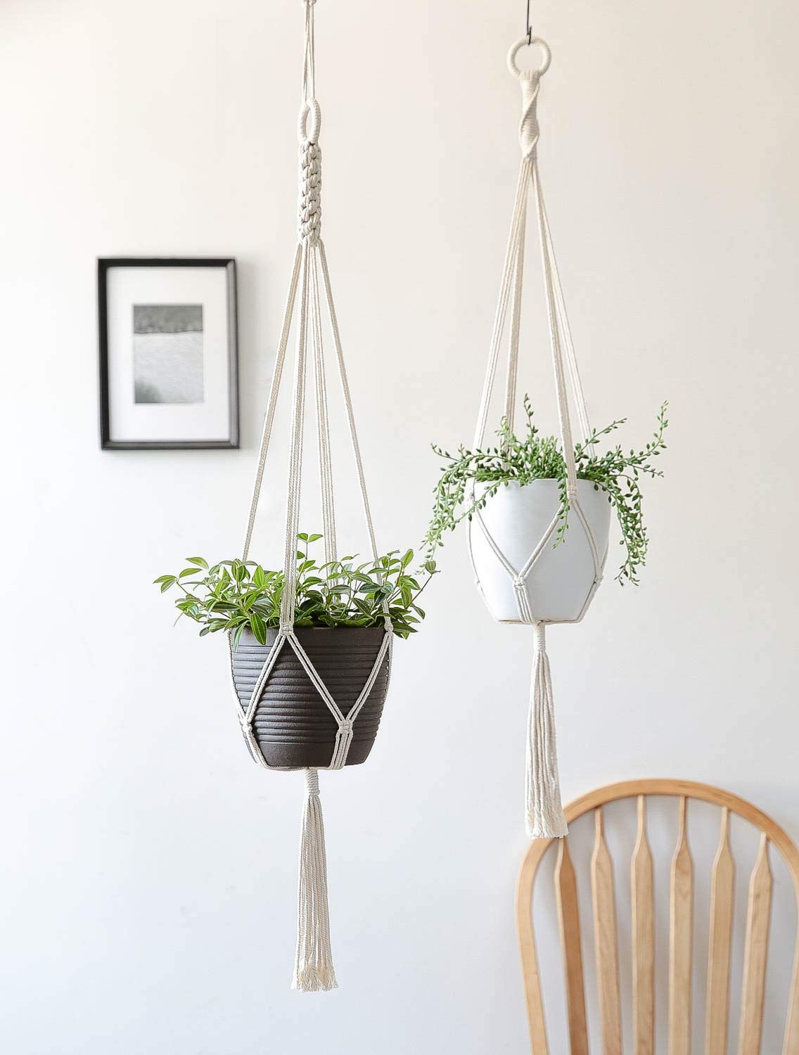 Macrame Cotton Plant Hanger (Set of 2)