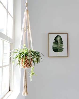 Boho Macrame Plant Hanger