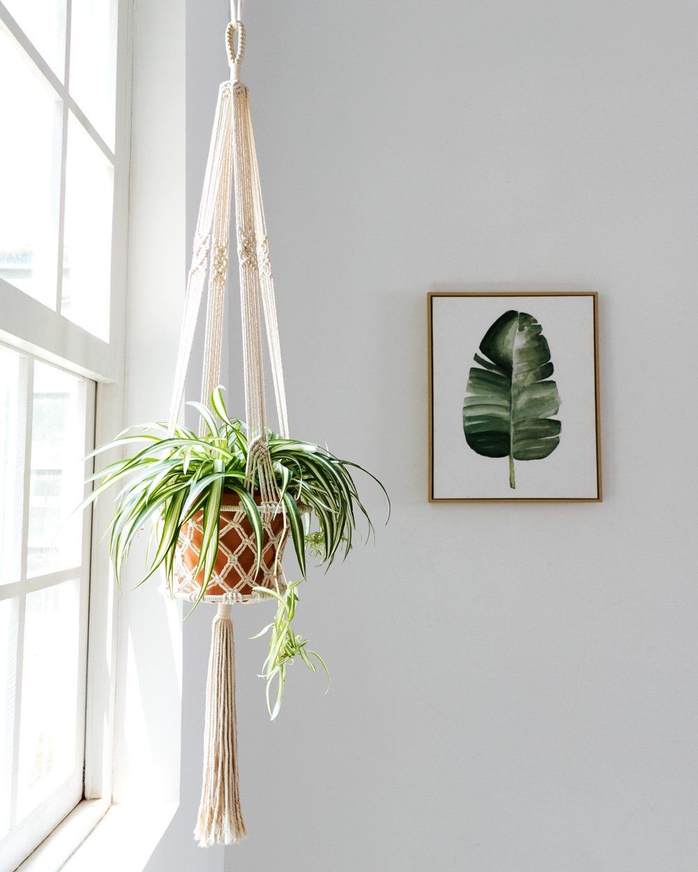 Boho Macrame Plant Hanger