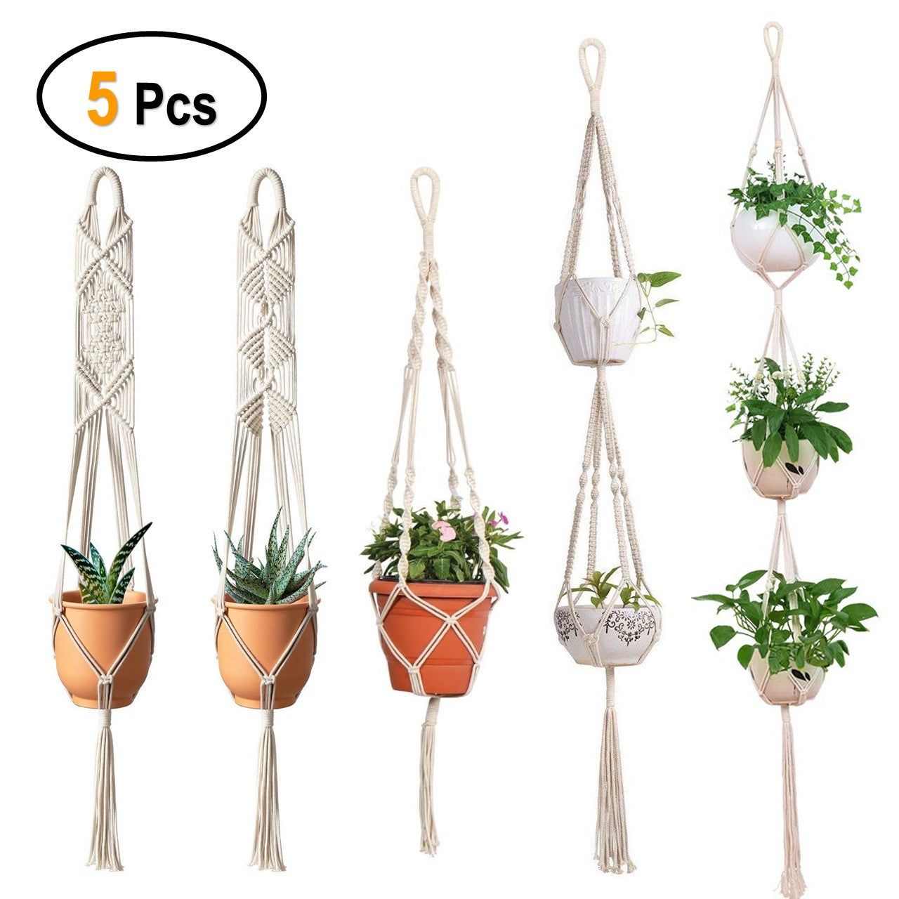 Macrame Plant Hanger (Set of 5)